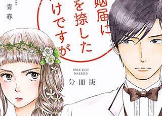 弁護士カレシのネタバレ 漫画 オフィスラブの行方は まんがmy Recommendation