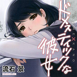 ドメスティックな彼女のネタバレ 漫画 三角関係の行方は まんがmy Recommendation