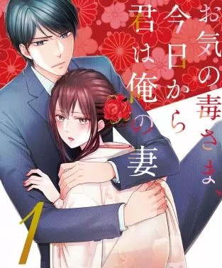 お気の毒さま 今日から君は俺の妻 のネタバレ 漫画 まんがmy Recommendation